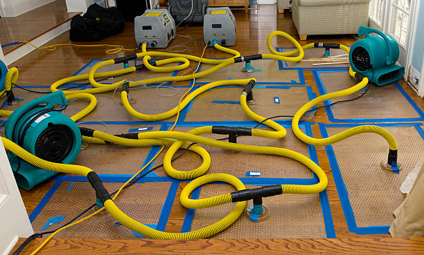 Professional Crawl Space Water Removal technician working in New London, OH